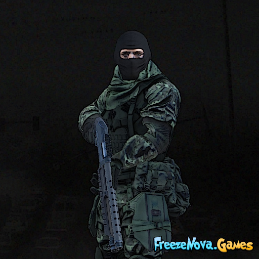 Guerrillas io
